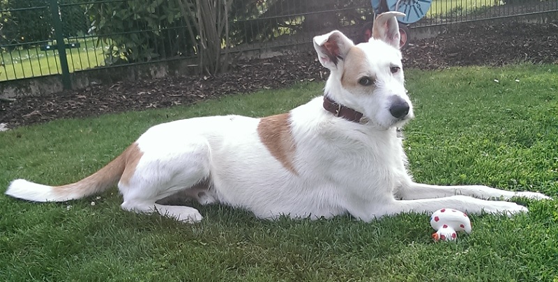 Rocky.heute5.jpg