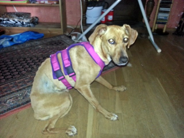 20140407_183748.jpg