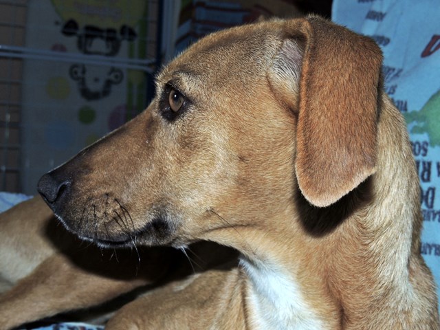 DSCN7864.JPG