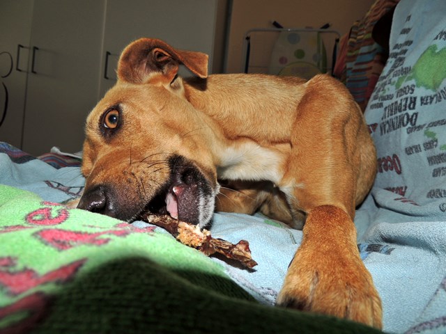 DSCN7885.JPG