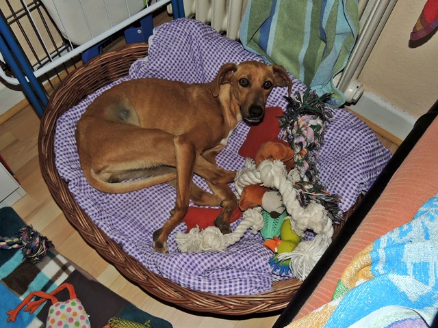 DSCN7981.JPG