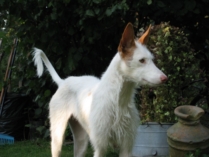 Tessa bearbeitet7.jpg