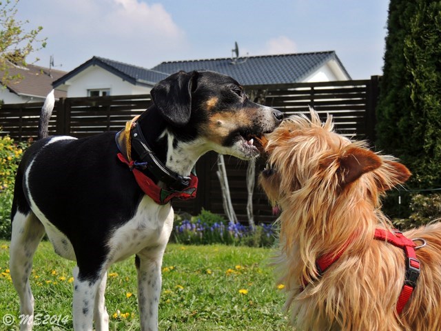 DSCN8118.JPG