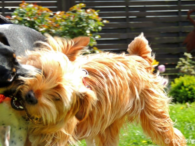 DSCN8119.JPG