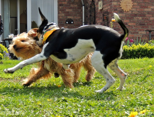 DSCN8175.JPG