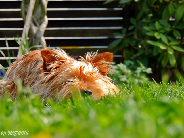 DSCN8196.JPG