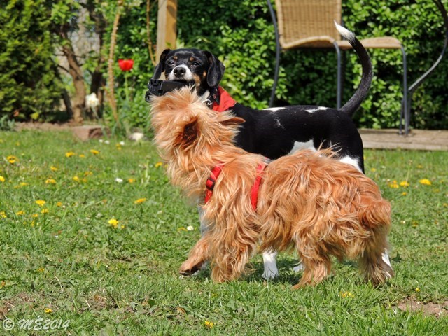 DSCN8093.JPG