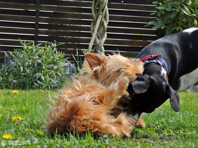 DSCN8184.JPG
