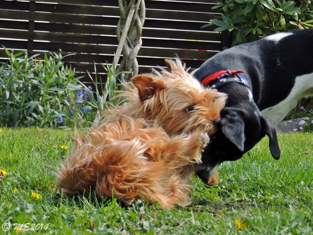 DSCN8185.JPG