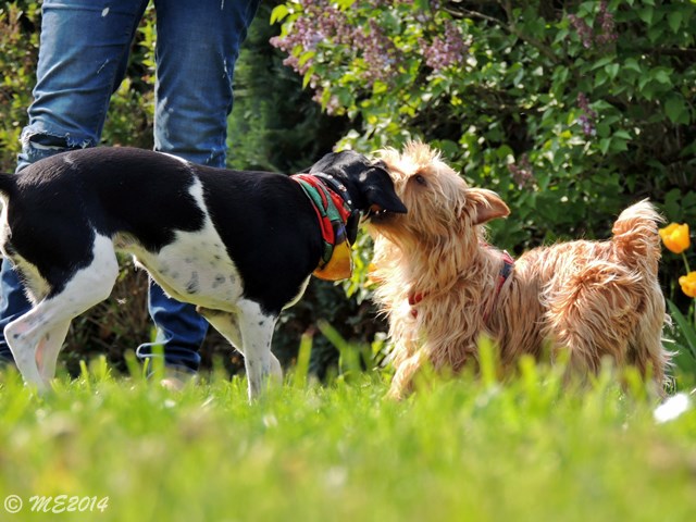 DSCN8213.JPG