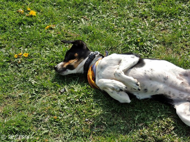DSCN8256.JPG