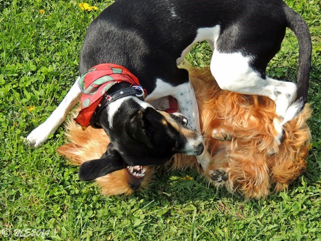 DSCN8266.JPG