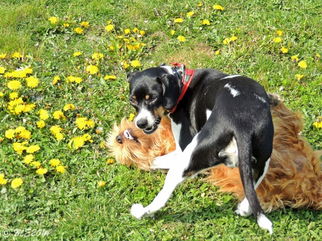 DSCN8268.JPG