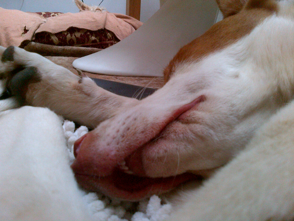IMG-20140414-00894.jpg