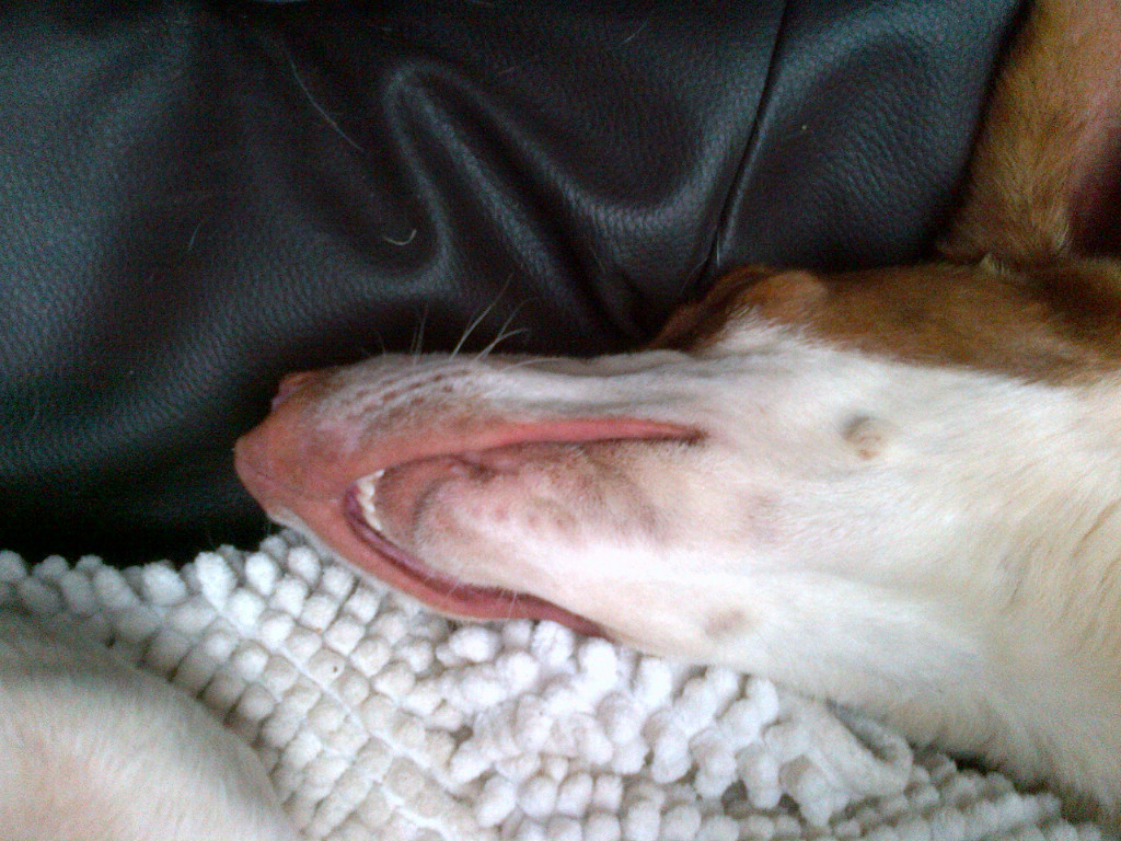 IMG-20140414-00899.jpg