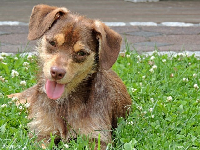 DSCN2832.JPG