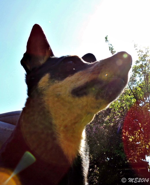 DSCN8330.JPG