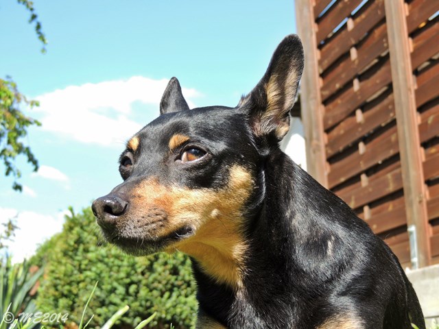 DSCN8351.JPG