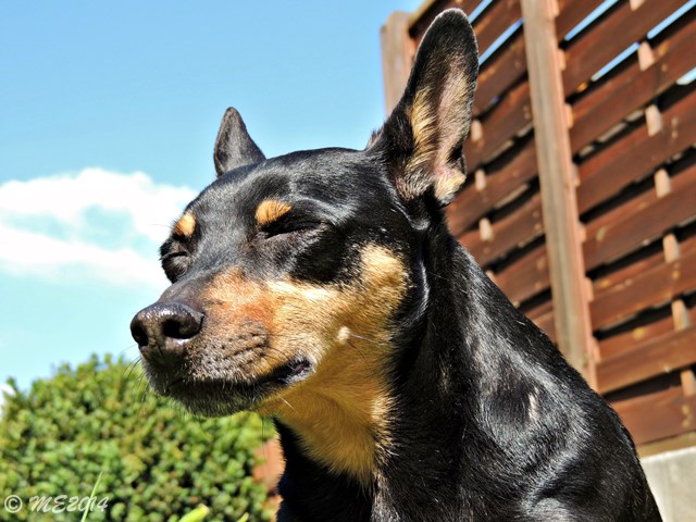 DSCN8354.JPG