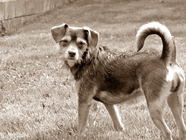 DSCN8286.JPG