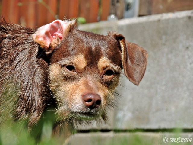 DSCN8343.JPG