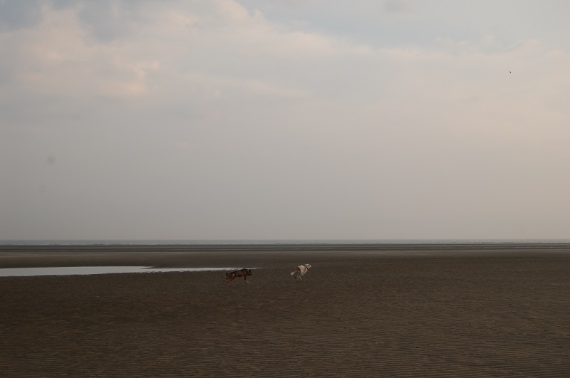 Ouddorp 2014 036.JPG