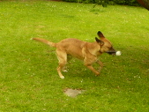 P1070090(1).JPG