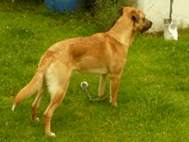 P1070104(1).JPG