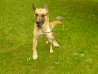 P1070106(1).JPG