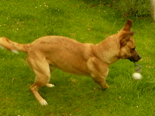P1070105(1).JPG