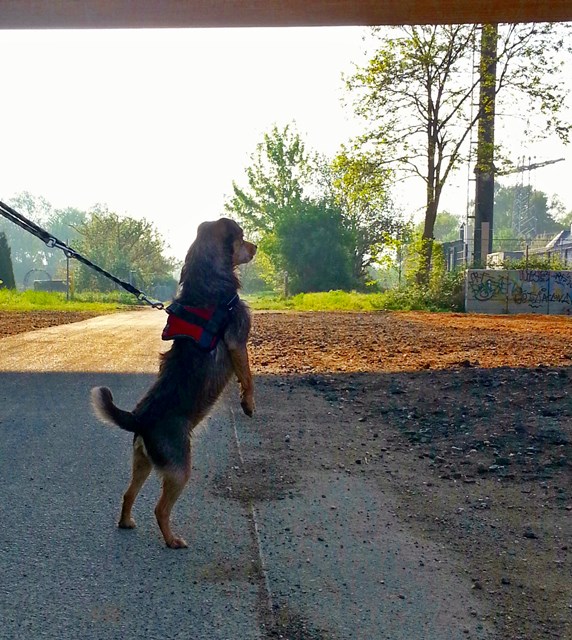 20140425_083409.jpg