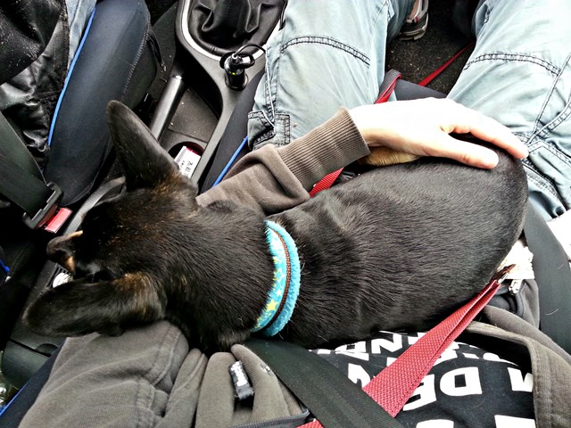 20140429_121606.jpg