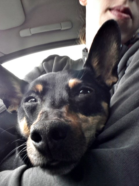 20140429_121629.jpg