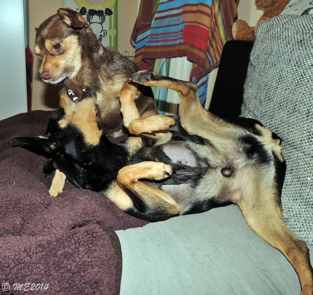 DSCN8415.JPG