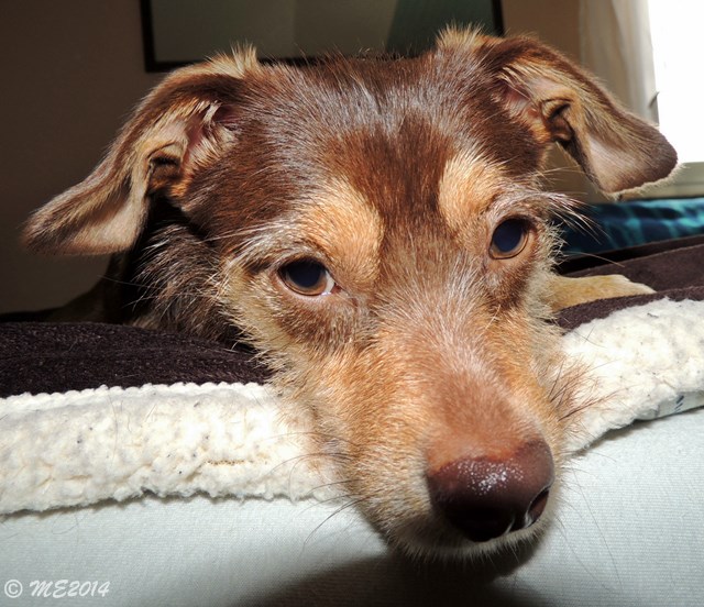 DSCN8422.JPG