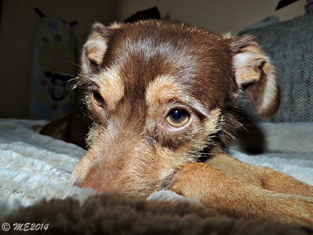 DSCN8447.JPG