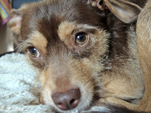 DSCN8448.JPG