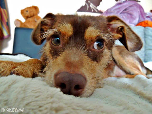 DSCN8454.JPG