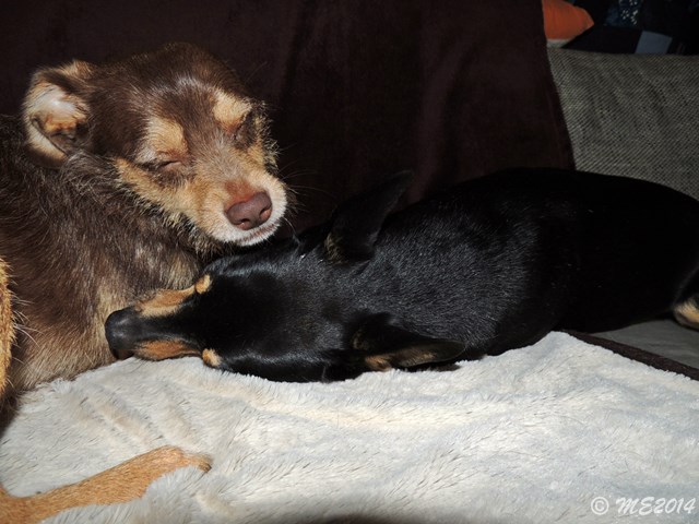 DSCN8457.JPG
