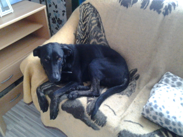 20140502_165010.jpg