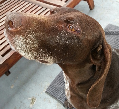 PostOP030514 klein.jpg