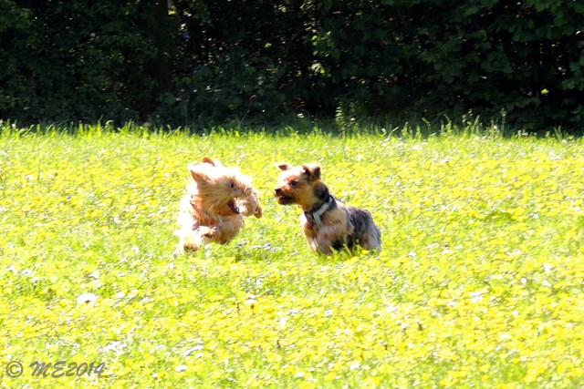 DSCN8568.JPG