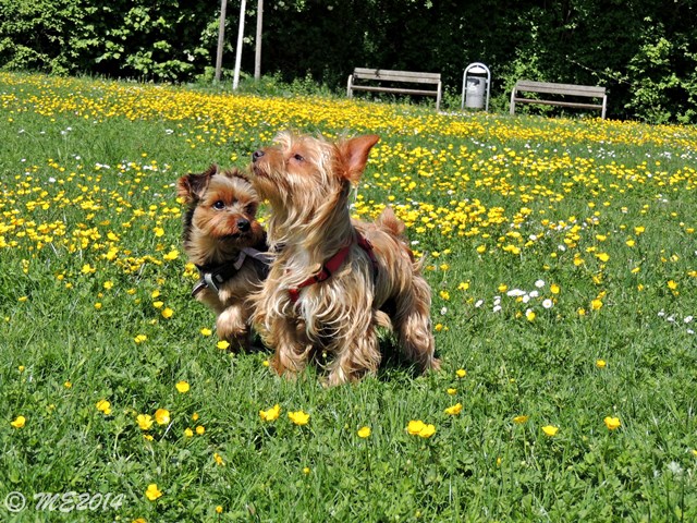 DSCN8589.JPG