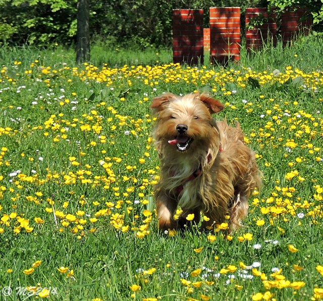 DSCN8599.JPG