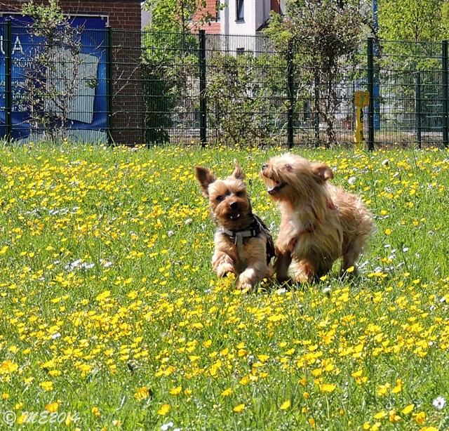 DSCN8602.JPG