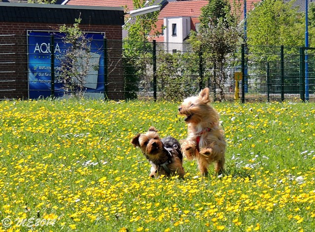 DSCN8603.JPG
