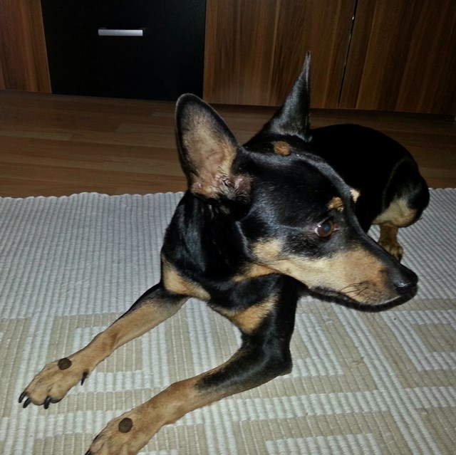 20140506_104134.jpg