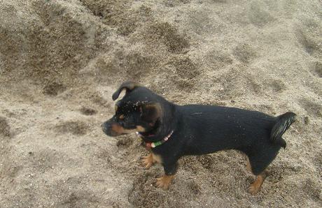Nena im Sand.jpg