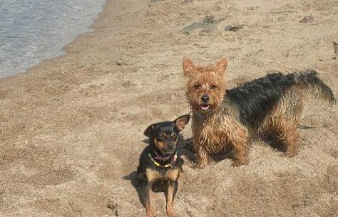 nena und Micky.jpg