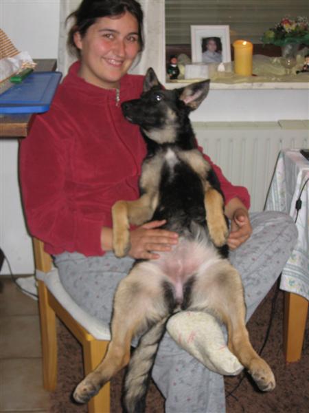 IMG_0460 (Medium).JPG